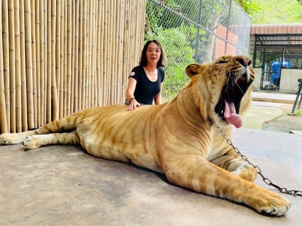 2025年はタイ研修でした。