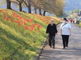 天気の良い日にはお散歩も‥