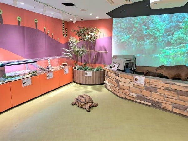 接客スタッフ・アニマルパークのスタッフ（未経験OK）