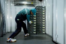 積荷のサイズが均等なので荷扱いは簡単です