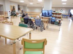 ひろびろと明るい サマリヤ松並