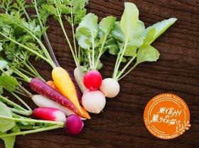 事業所の情報＿農業事業