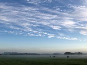 千歳空港から車で１５分の場所では離乳した馬たちを繋養