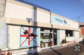 ｄｏｇ ｓａｌｏｎ Ｒｅｂｏｒｎ