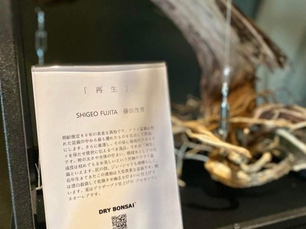 ラグジュアリーなホテルへのドライ盆栽（R）設置