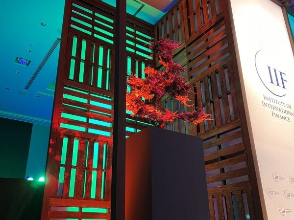 サミット会場での大型ドライ盆栽（R）