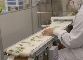 工場内の作業の様子（第一工場）