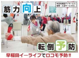 早稲田イーライフ高須