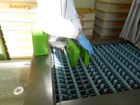 オリワンフーズ（弁当容器洗浄）