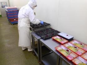 オリワンフーズ（弁当盛付準備）