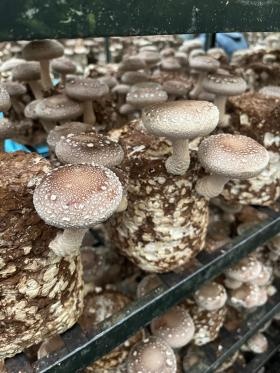 事業所の情報＿００２