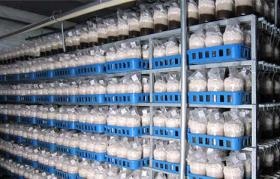 事業所の情報＿００４