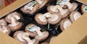 事業所の情報＿００７