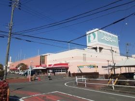 ワークプレイスパディー