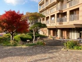 社の木デイサービスセンター