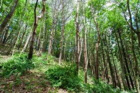 こういう所で働きます。