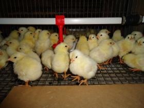 事業所の情報＿００１