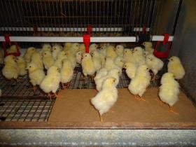 事業所の情報＿００２