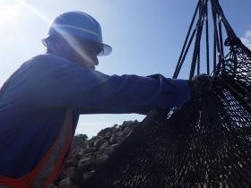 夏の作業は厳しいです