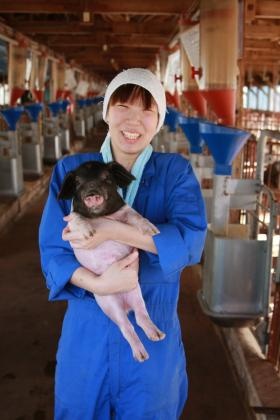 養豚場仕事風景
