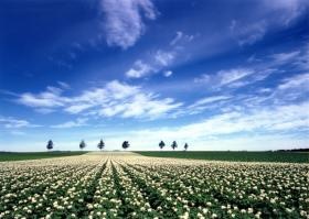 当社隣地の“メルヘンの丘”観光スポット