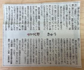 発信することを大切にしています。新聞連載もしていました。