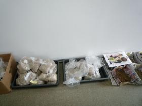 事業所の情報＿００６