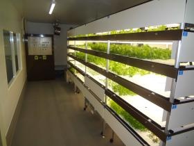 北光園の水耕レタス栽培工場
