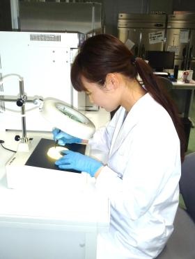 製品は毎日厳しいチェックを経て出荷されます