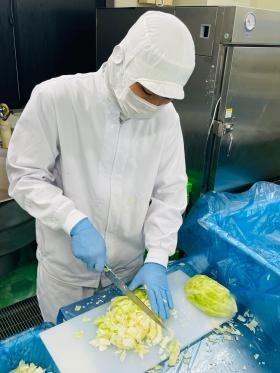 キャベツカット（メンチカツ）＿００７