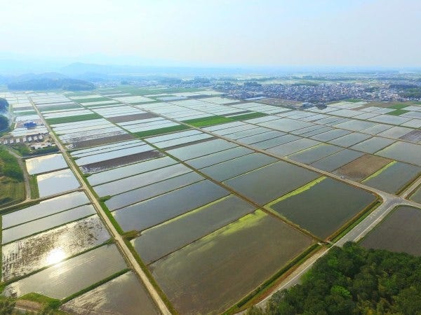 宮川用水の位置する伊勢平野は、三重県を代表する穀倉地帯です