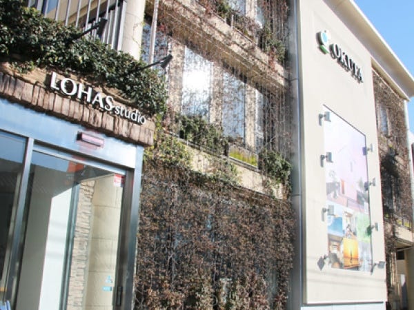 受付事務スタッフ・電話受付事務スタッフ（WワークOK・テレアポなし）