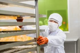 工場仕事風景：生姜湯の乾燥作業