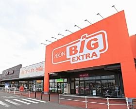 イオンビッグのお店です