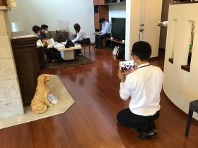 ロープレ風景（社員をお客様に見立てて練習します。）