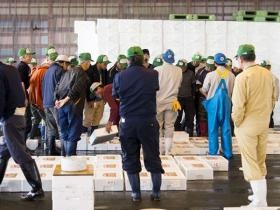 地方卸売市場として全国の産地から集荷した鮮魚の販売や買い付け