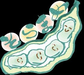 そらまめ キャラクター