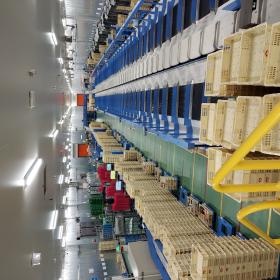 第２センター自動仕分け機