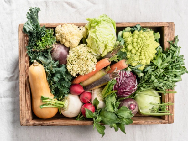 西洋野菜をメインで育てています。