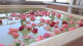 母の日のバラ風呂