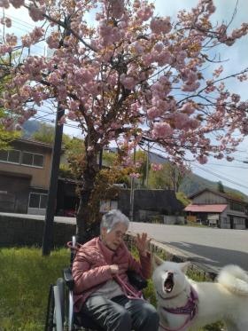 外出支援 地域のワンちゃんとお散歩