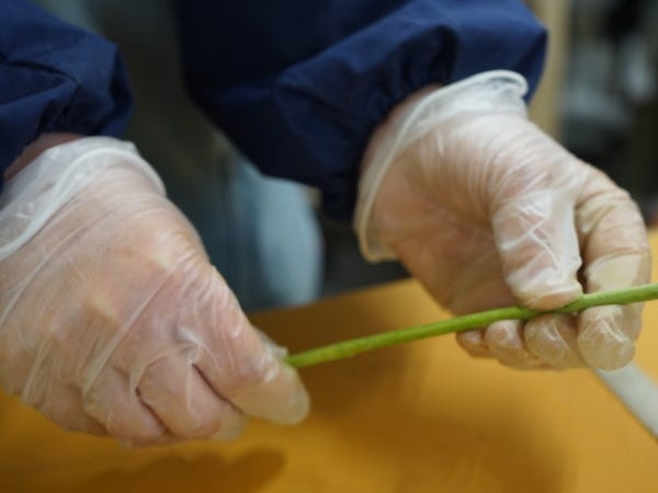 花束作成スタッフ・花束加工