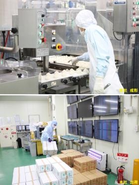 本社での成形＆出荷の様子。最後は人の目でチェックをします。