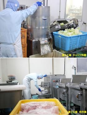 第２工場キャベツと肉の作業の様子。当日使用分のみを作業します