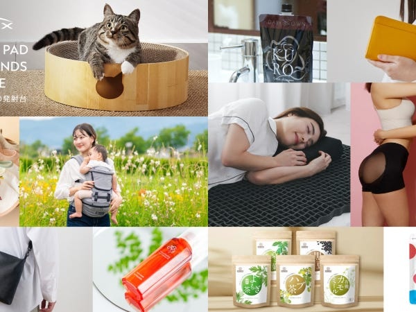 事業開発室のMA責任者候補・A責任者候補・A業務（財務モデリングのスキル）