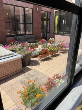 ３階花壇。入居者の方とスタッフが共同でお世話をしています。