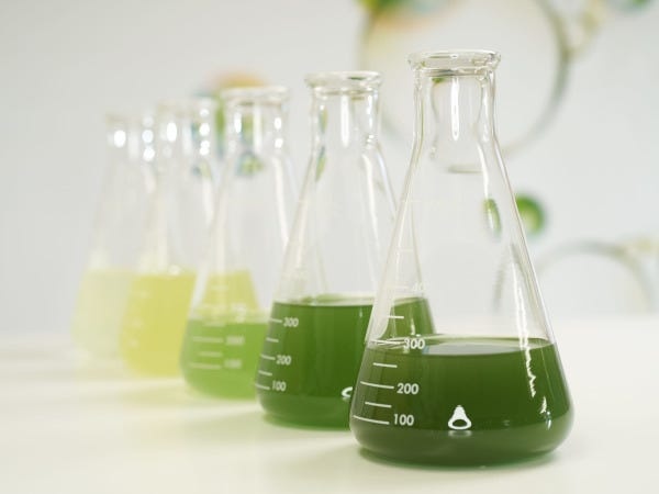 【人と世界に貢献する研究】「悩みを抱える世界中の人々を救いたい」という想いのもと、最先端技術と研究から得られた特許成分を、幅広い産業に応用。