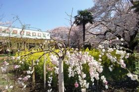 事業所の情報＿００１