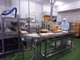 ゆで卵ライン送卵（岩倉・一宮）