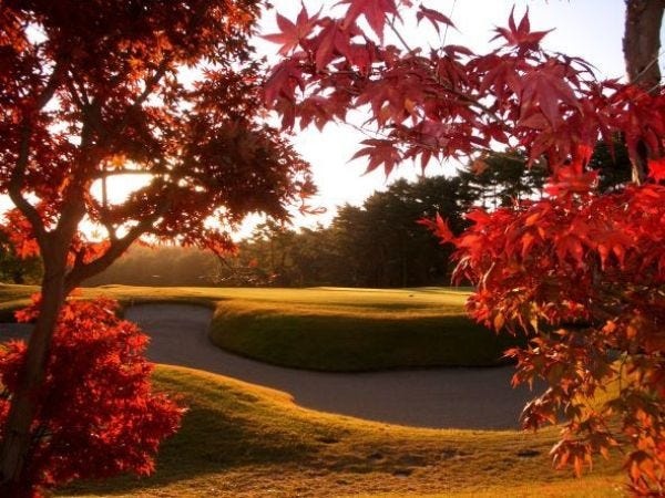 ゴルフ場フロント事務・ゴルフ場のフロント受付・事務（2026年3月卒業）